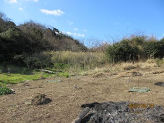 IMG_0478 IMG_0478