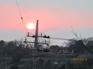 IMG_0486 IMG_0486